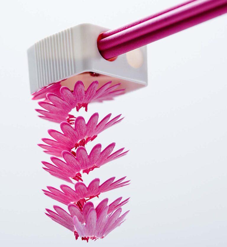 Set aus 5 Farbstiften. Form und Farben sind angelehnt an die traditionell, japanischen Blumentradition.